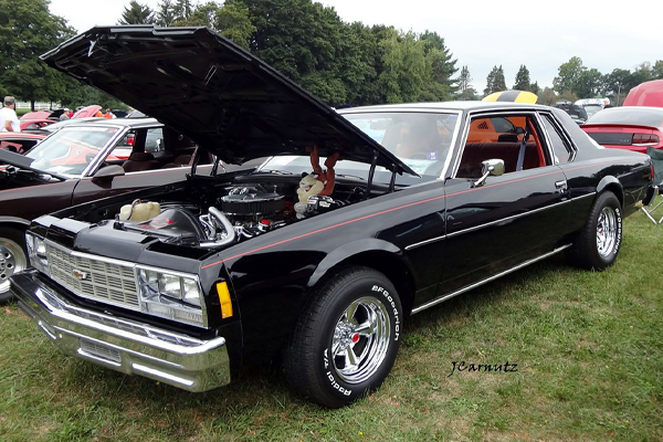 1977 - 1990 Beltline Trim Set and Hardware 6 Piece Set 