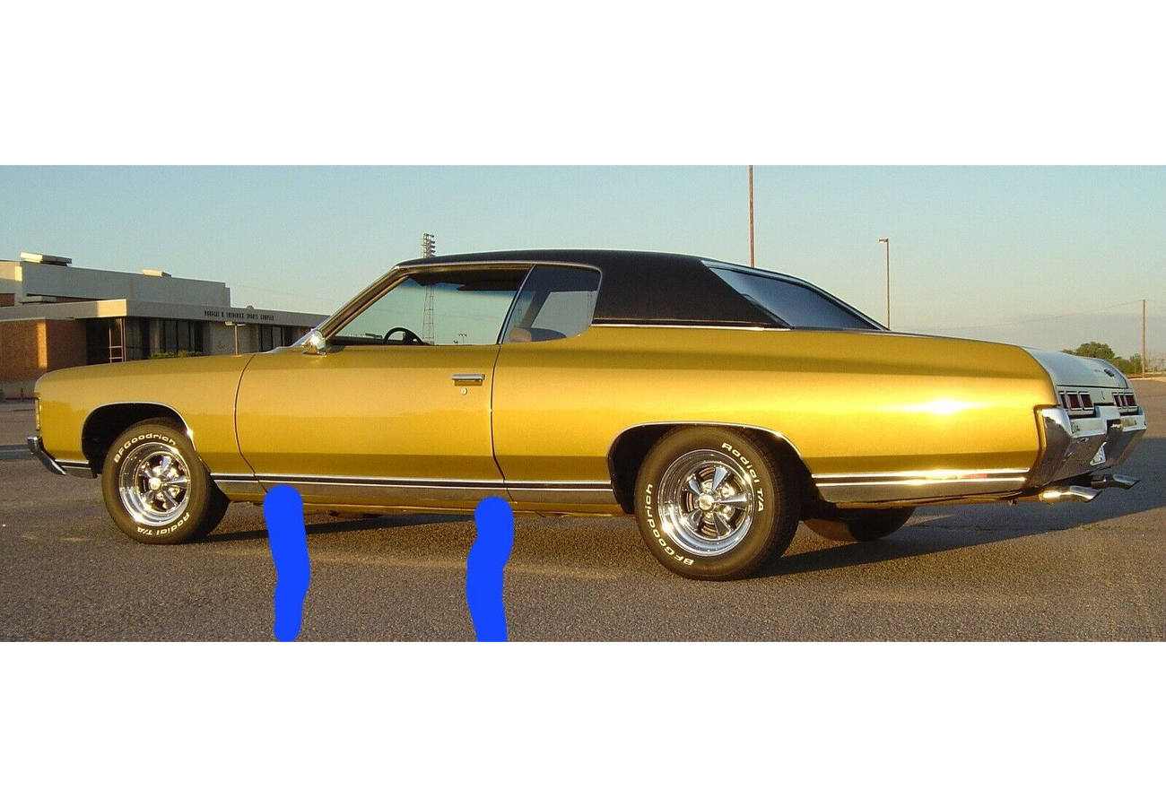 Fender Mounting Plates AND Door Reveal Mold Mounting Clip LR